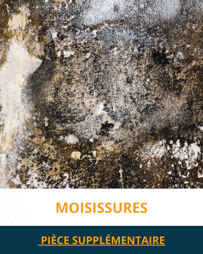 Moisissures - Pièce supplémentaire