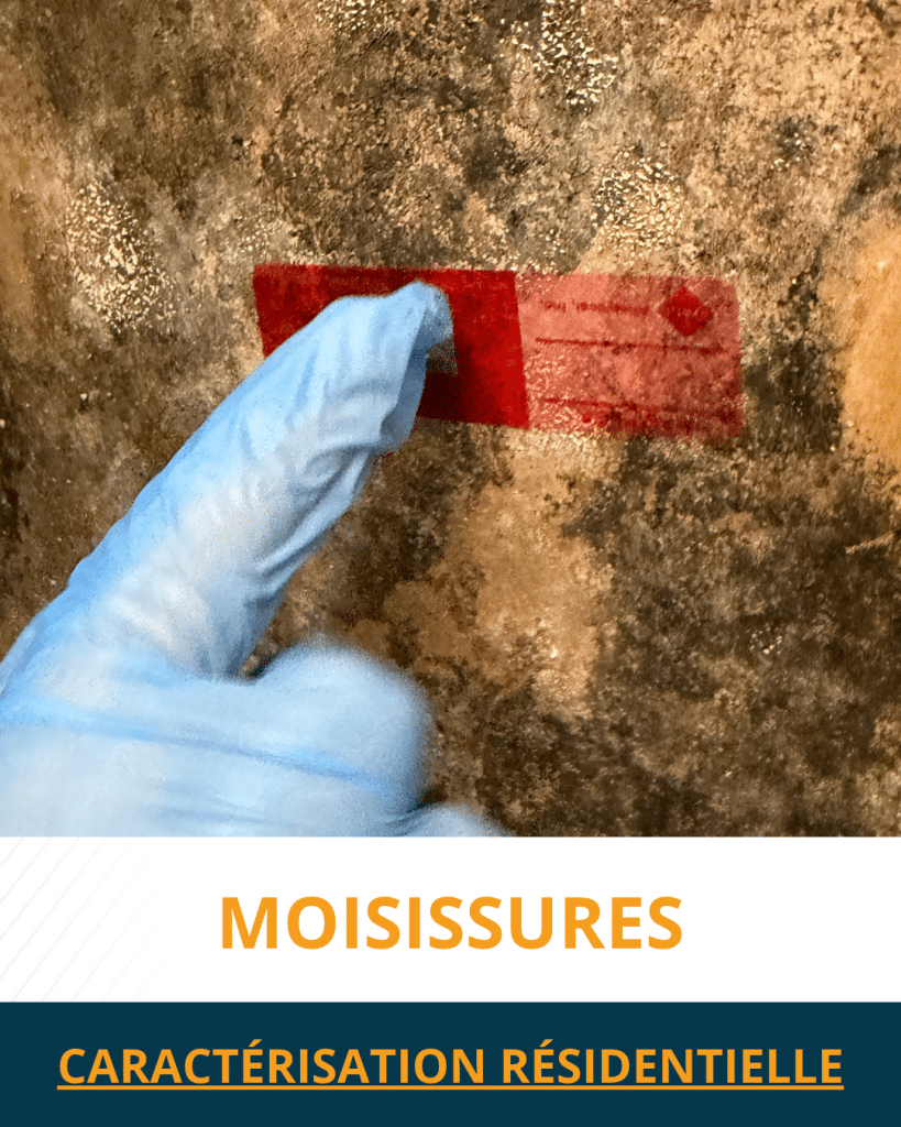 Caractérisation résidentielle de moisissures